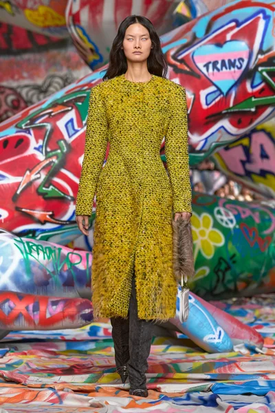 Look 29